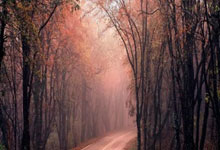 米兰体育网页版-绿茵魔术师觉醒！内马尔小组赛技术统治全解秘